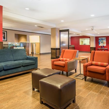 Comfort Inn & Suites Kissimmee By The Parks Four Corners Buitenkant foto